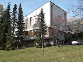 Гостиница Apartment Snow, Старый Смоковец